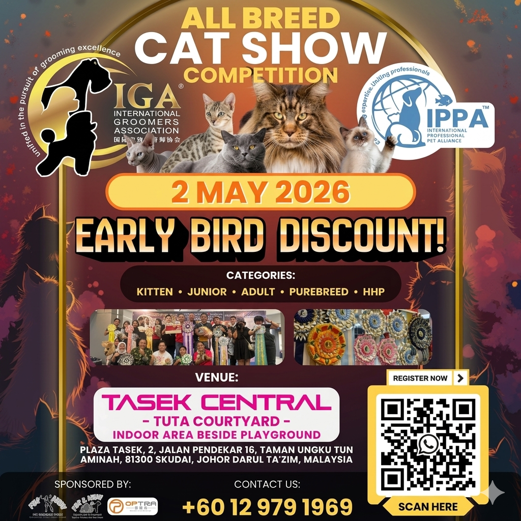 CAT SHOW